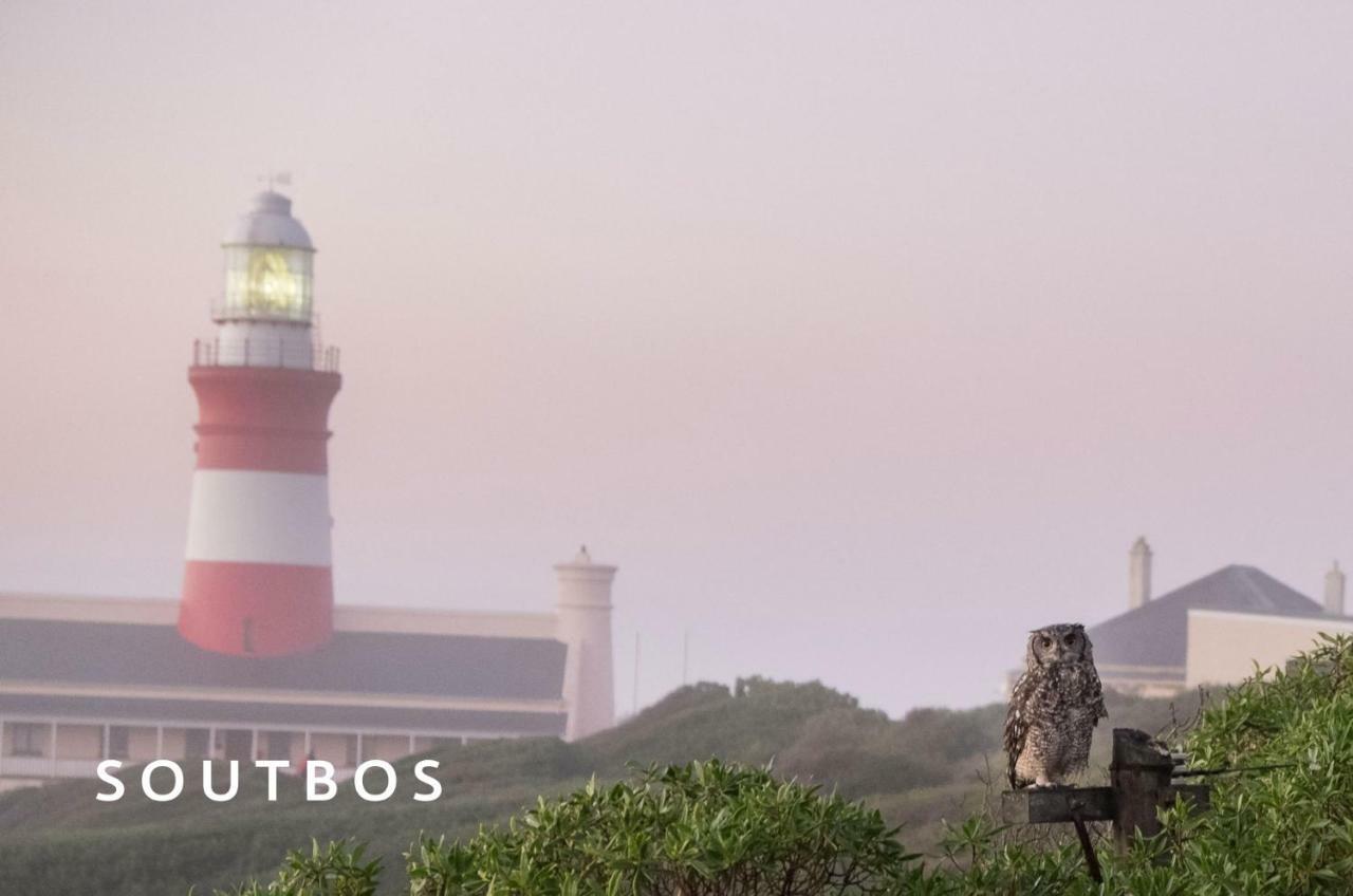 Apartmán Soutbos & Janfrederik Agulhas Exteriér fotografie